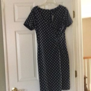 Women’s Lands End navy polka dot dress NWT